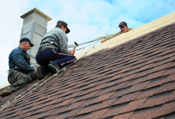 Best Storm Damage Roof Repair  in Town Creek, AL